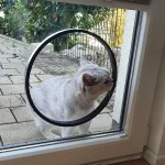 Loch im glas für die Katzenklappe