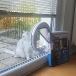 Katzenklappe Loch im Glas