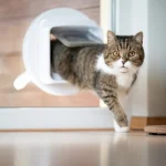Glas mit Loch für Katzenklappe